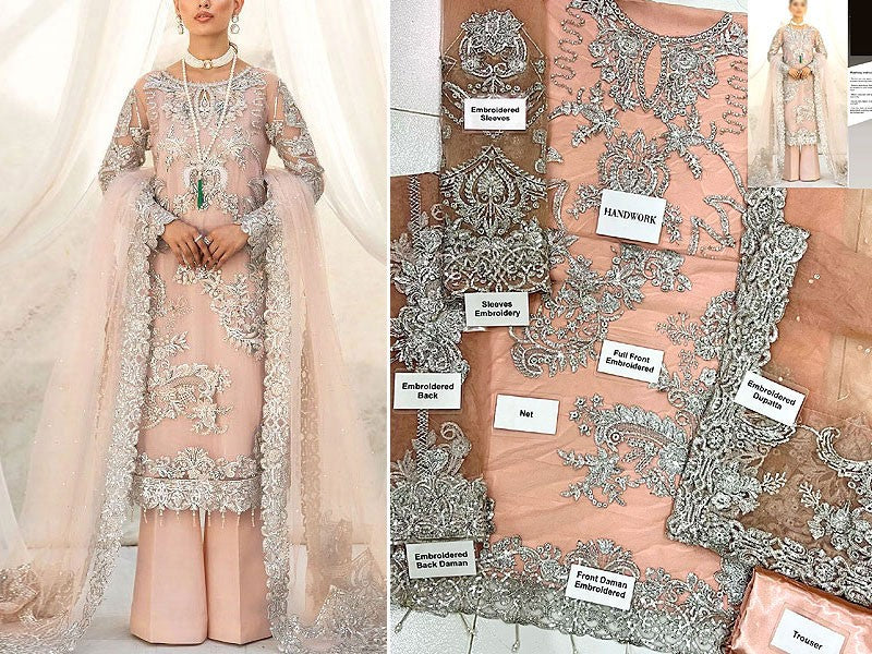2-Piece Embroidered Fancy Net Party Wear Dress 2024 (DZ15261) –