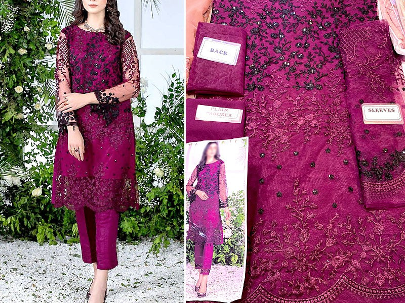 2-Piece Embroidered Fancy Net Party Wear Dress 2024 Price in Pakistan  (M015263) - 2023 Designs, Reviews & Videos