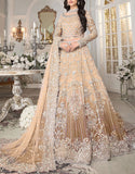 Luxury Handwork & Heavy Embroidered Net Bridal Maxi Dress 2024 (DZ17678)