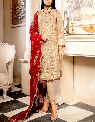 Embroidered Chiffon Dress (DZ13590)