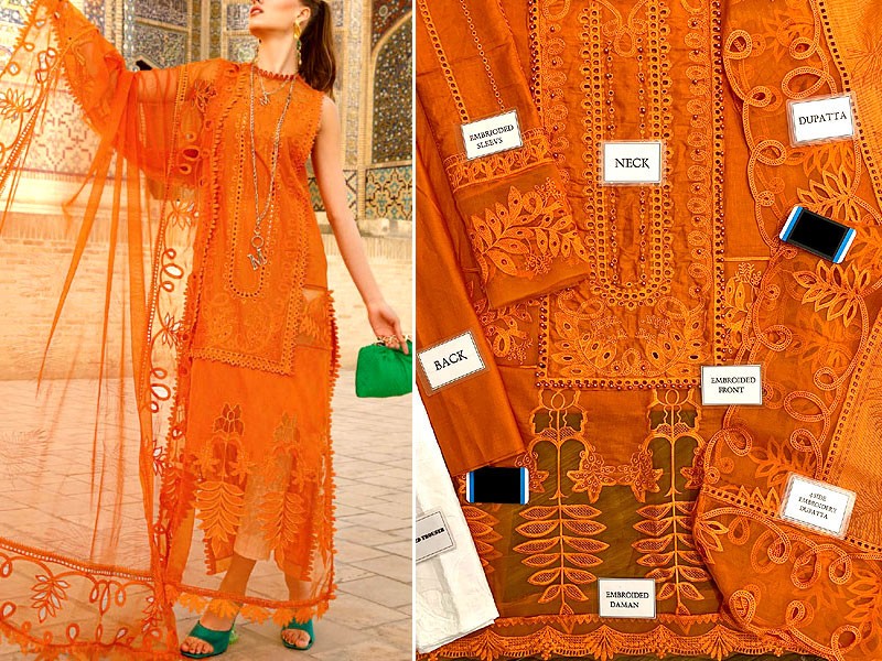 Luxury Schiffli Embroidered Lawn Dress with Cotton Net Dupatta DZ1631 DressyZone