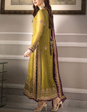 Heavy Embroidered Chiffon Mehndi Dress (DZ16796)