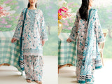 Digital All-Over Print Embroidered Lawn Dress 2024 with Silk Dupatta (DZ17066)