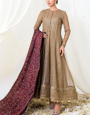 Luxurious Heavy Embroidered NET Bridal Maxi with Raw Silk Dupatta (DZ17659)